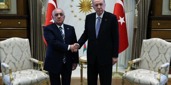 Turkish president, Azerbaijani premier discuss Gaza, current regional situation