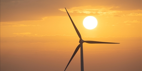 Solar overtook hard coal as energy source in EU in 2022